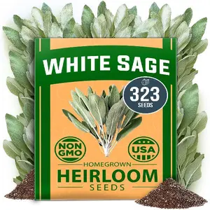 HOME GROWN White Sage Seeds Pack - 323 Bulk Non-GMO Heirloom Seeds - Grow Aromatic Sage Plants for Your Herb Seeds Garden with Sage Seeds for Planting Outdoor or Indoor (Salvia apiana)