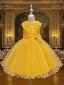 Girls' Party Dress, New Arrival 2026, Embroidered Floral Design, Short Puffy Skirt, Lace Princess Dress, Bow Sleeveless