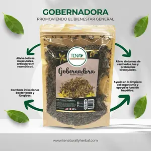 Gobernadora Herb Premium 4 oz Herbal Tea Bag – Supports Natural Cleansing & Promotes General Wellness – Naturally Caffeine-Free Beverage