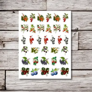Mix Fruit Sticker Sheet