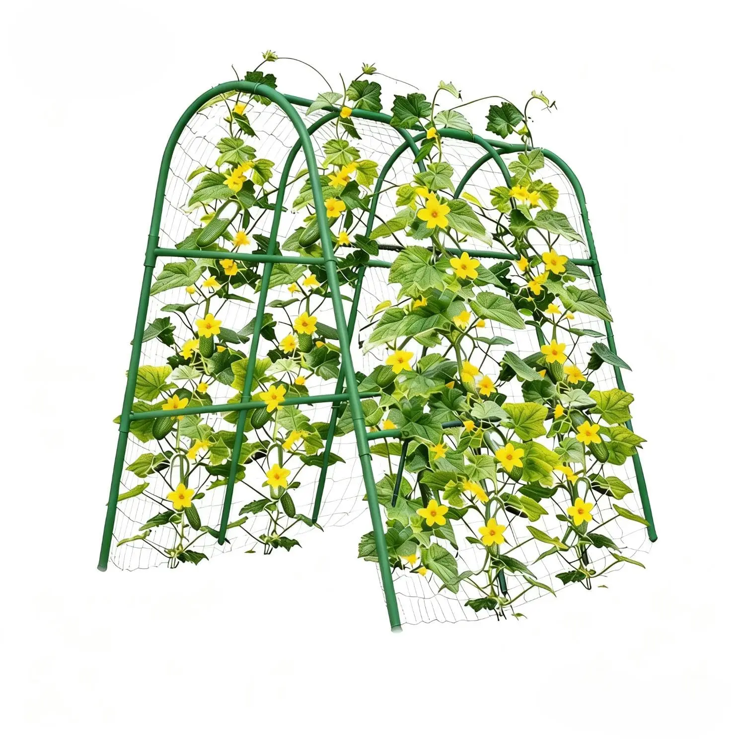 Arched Heavy Duty Plant Climbing Support – U-Shaped Garden Trellis – For Vegetables, Cucumbers, Melons, Grapes, Roses – Green Metal Frame – For Raised Beds, Outdoor – 120×160 cm or  120*120cm Two Size