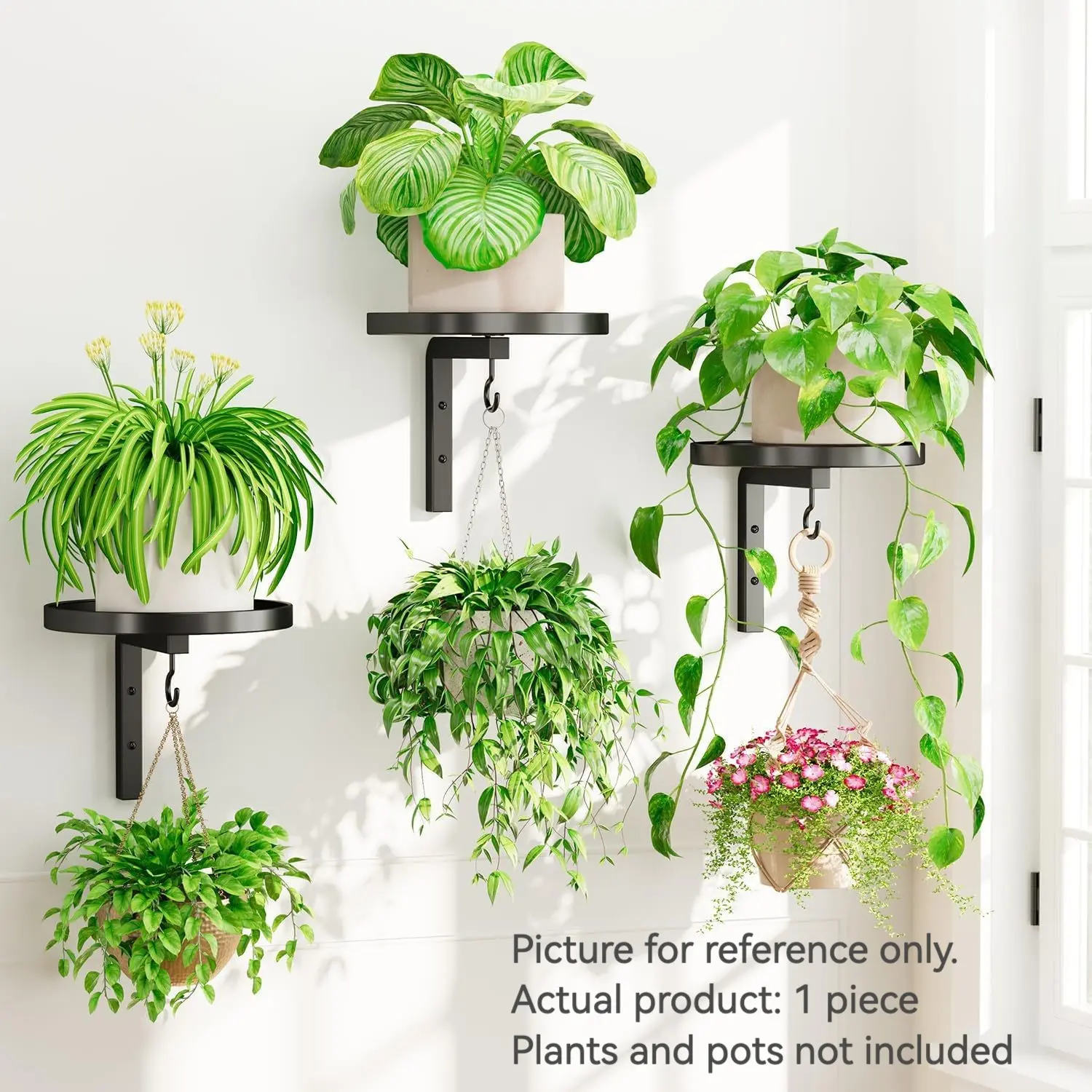 Metal Plant Wall Mount Holder, Modern Industrial Style, Wall Mounted Planter, Hanging Flower Pot, Outdoor Use, Wall Planters for Outdoor Plants, No Pot or Plants Included, Hanging Plant Basket, Plant Holders