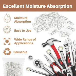 Sukh 100PCS Silica Gel Packets - 2g per Bag Desiccant Beads Packs for Storage, Moisture Absorbers, Anti Humidity, Reusable, for Jewelry, Cameras, Clothes, Books, Iron Tools, Precision Instruments