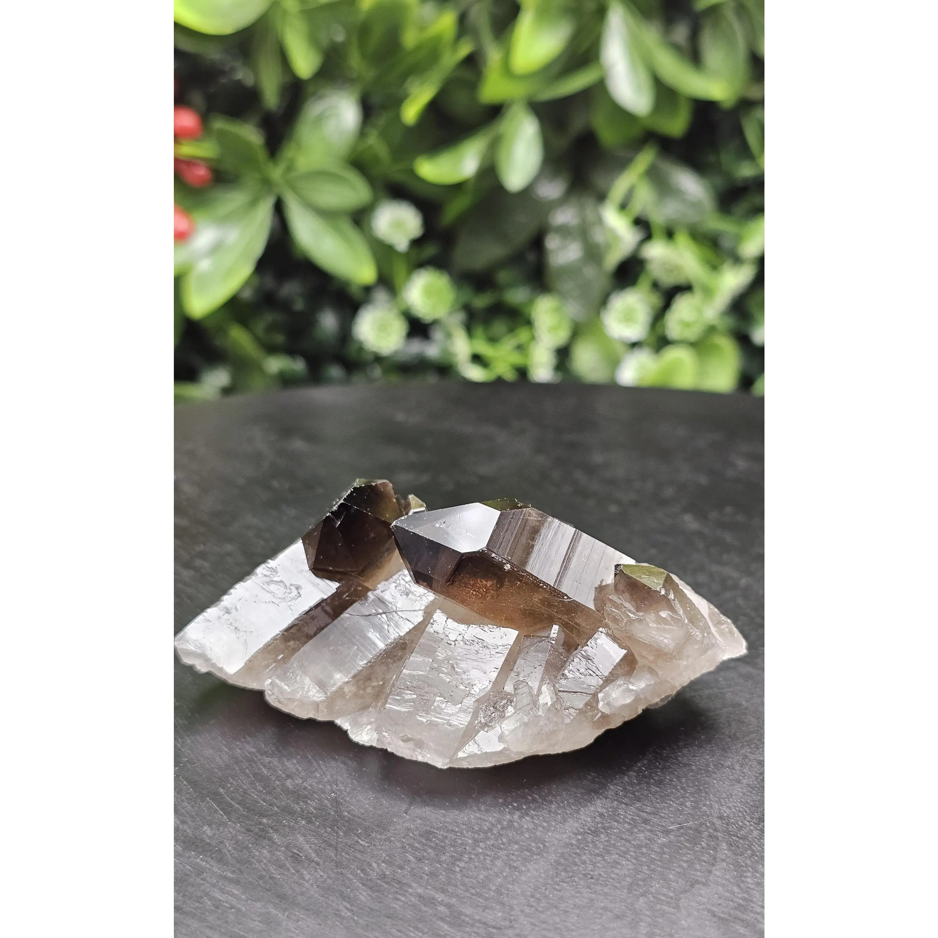Dark Smoky Quartz Crystal Cluster