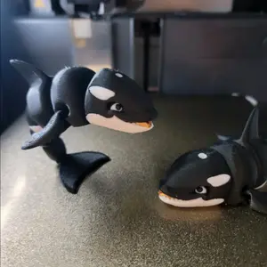 Orcas! Beautiful killers of the sea!