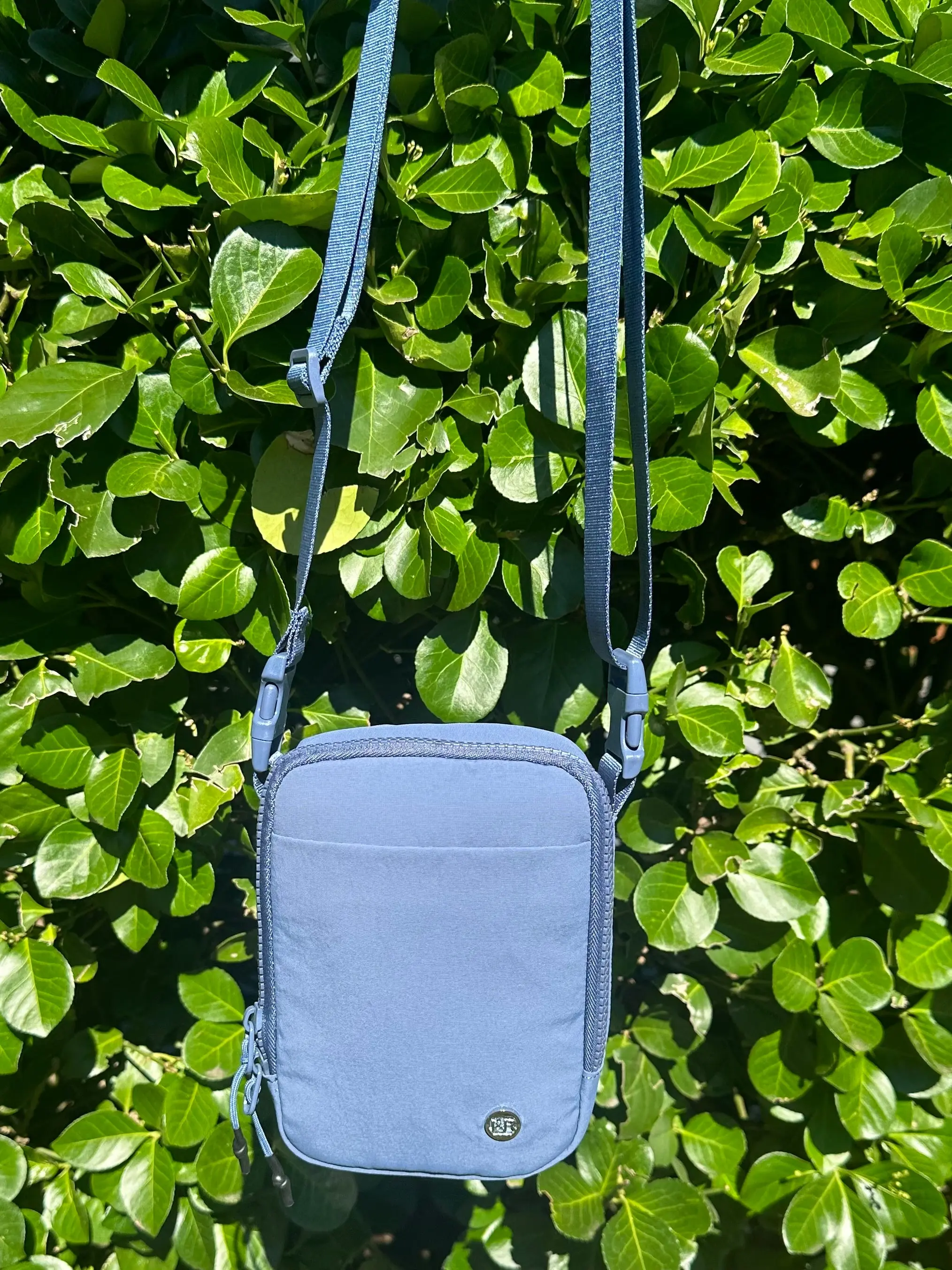 Ash Blue
