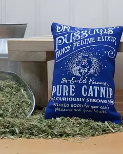 Cute & Whimsical Catnip Pillow Toy for Cats - USA Grown Catnip