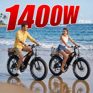 Kingbull Hunter 2.0S | Mountain Fat Tire Electric Bike Kingbull Hunter 2.0S | Mountain Fat Tire Electric Bike