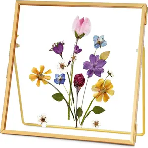 Double Glass Frame for Pressed Flowers Handmade Tabletop Photo Frame for Floating Picture and Flower Press Simple Metal Geometric Square Gold 4x4 Inches
