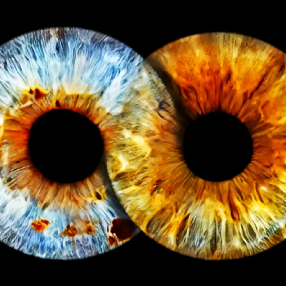 Iris Art - Creative and Visionary Works Of Art With An Eye Catching Twist.
