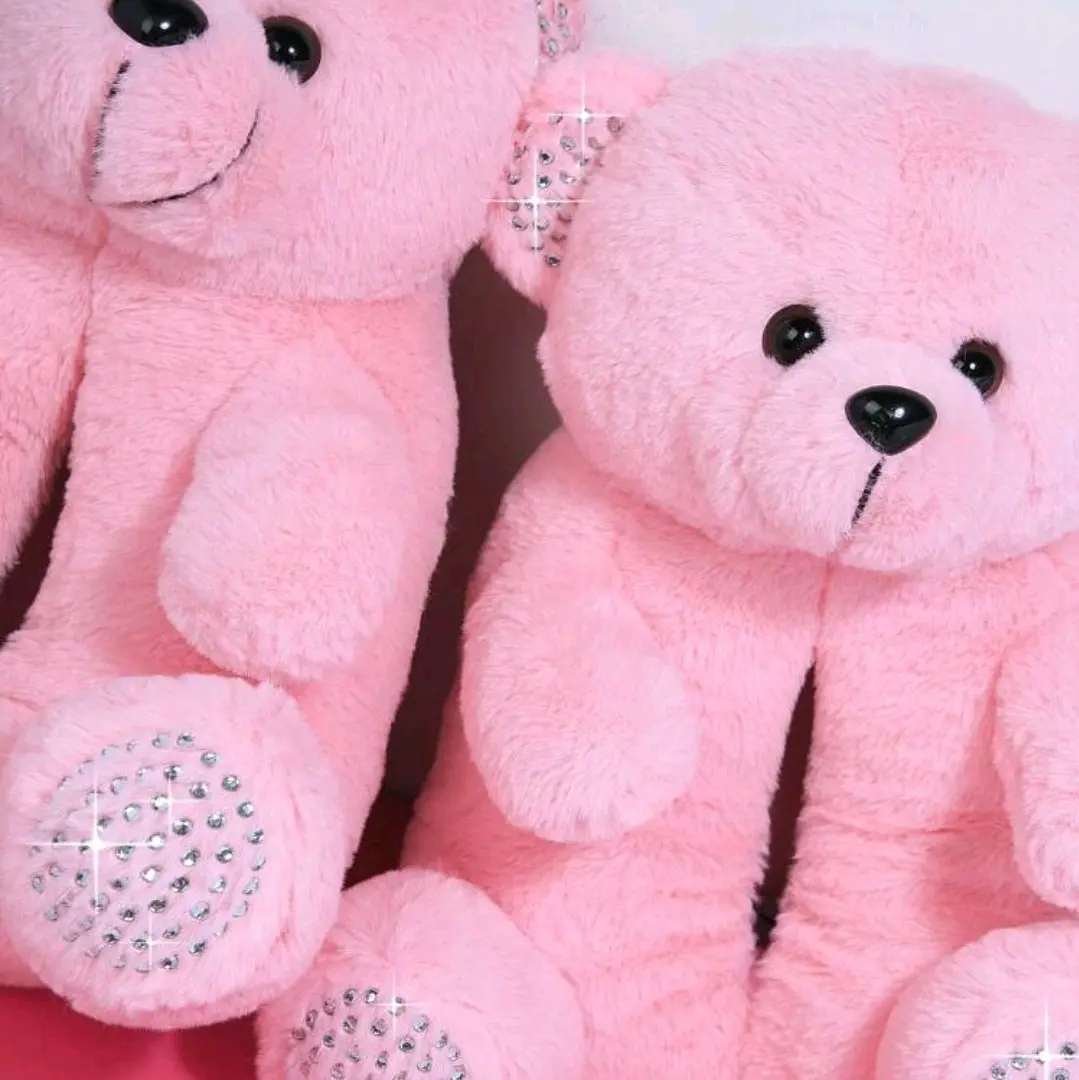 Bear Slippers