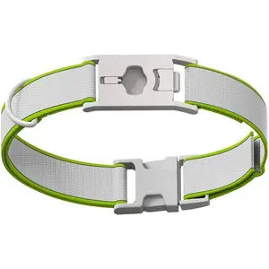 Pet Collars