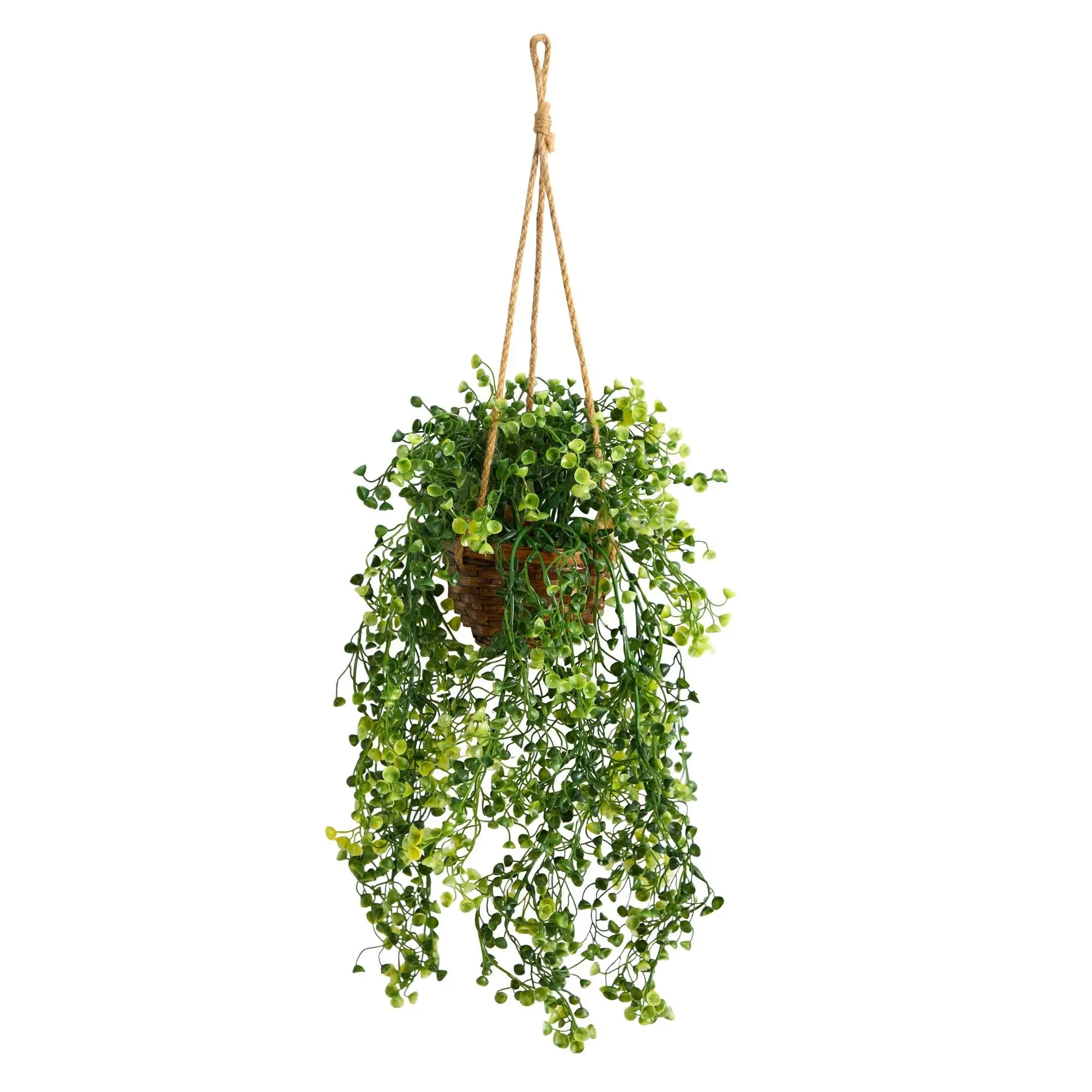 20-in Vine-Like Faux Baby Tear Hanging Plant with Hook - Tropical Artificial Plant Decor for Indoor Home Improvement, Garden Supplies Hanging Basket with Botanical Aesthetic