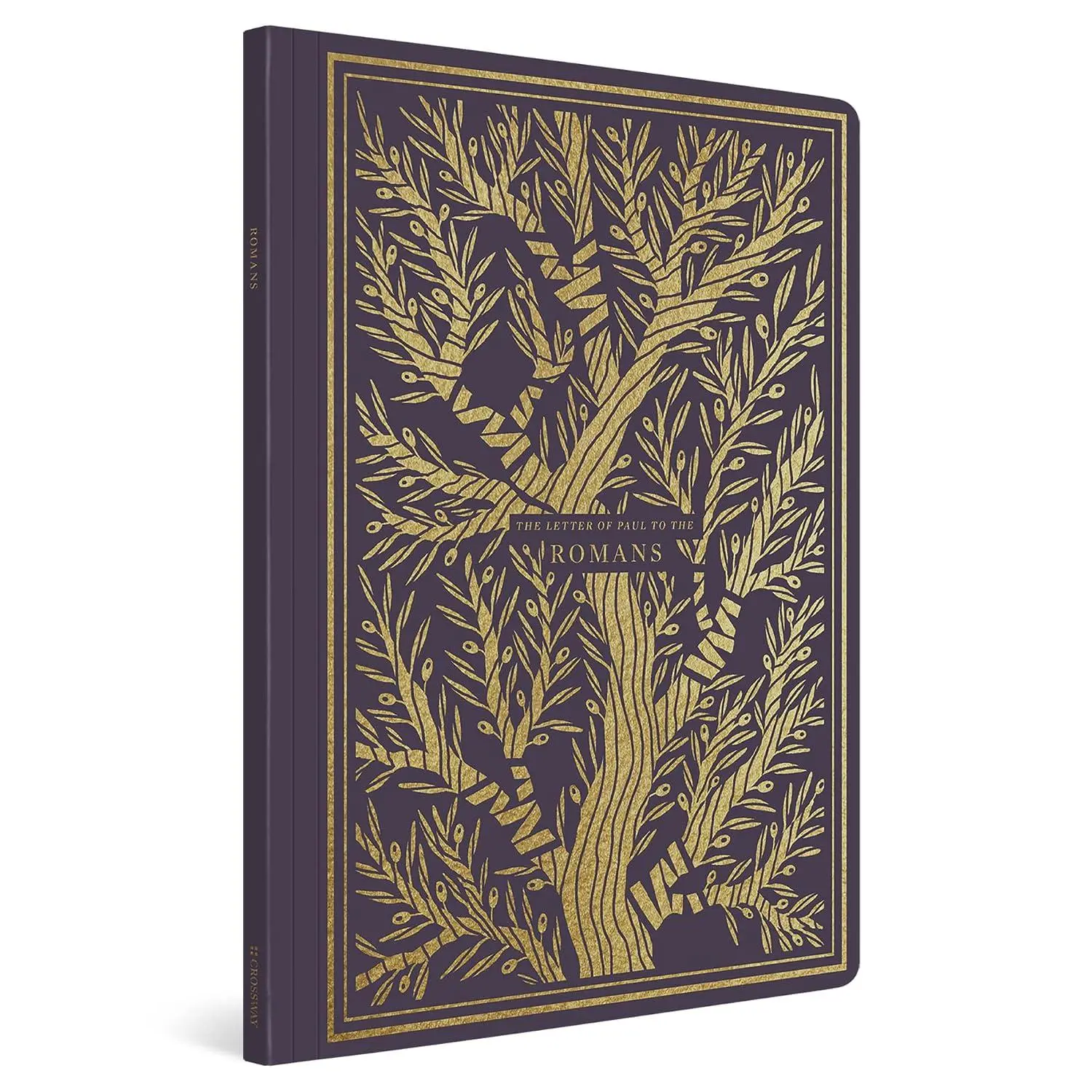 ESV Illuminated Scripture Journal: Romans