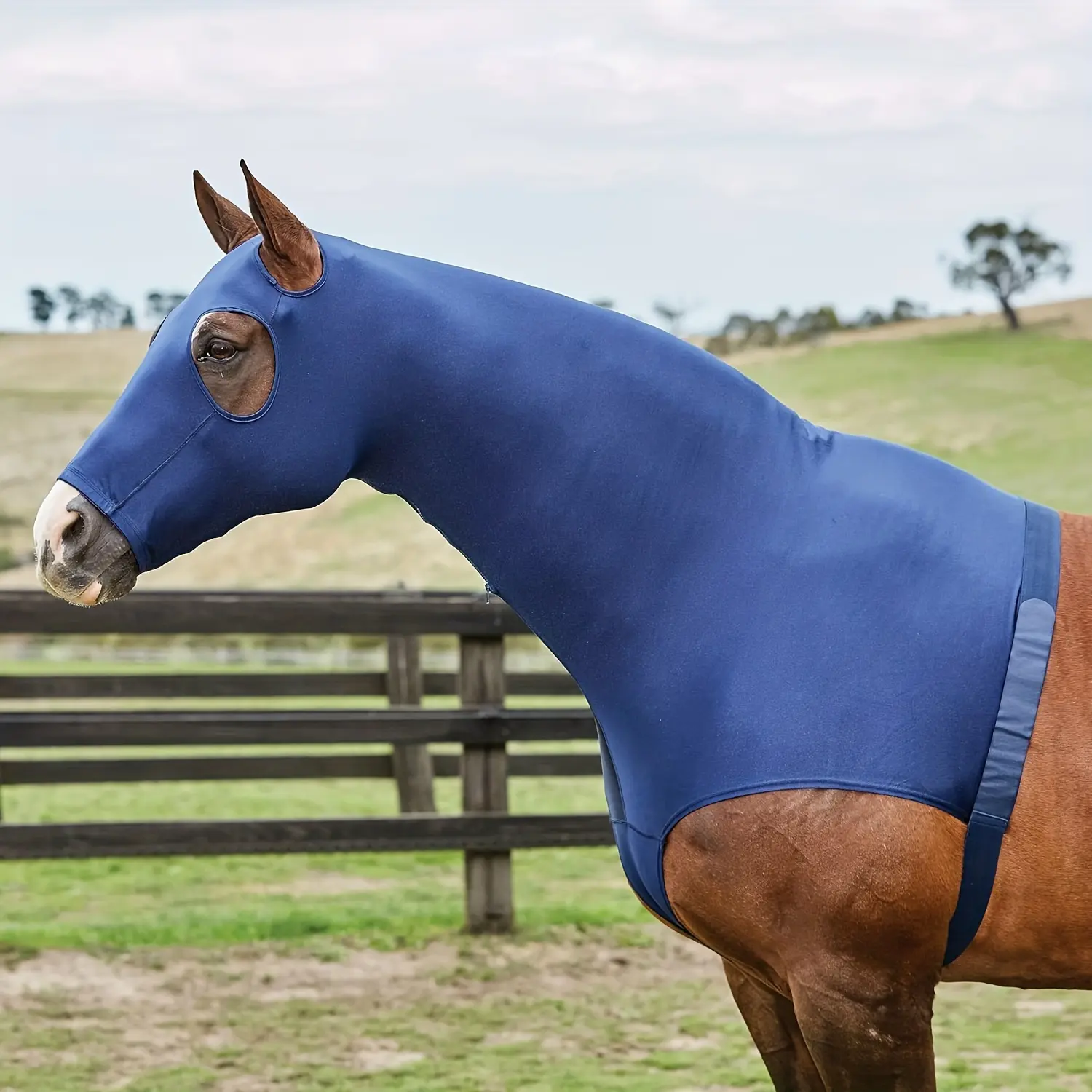 High-End Elastic Lycra Horse Head Cover, Zipper Design for Easy On/off, Portable Zippered Bag Included, Convenient Use, Equestrian Supplies