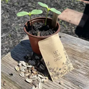Sunflower Mixed Variety Seeds