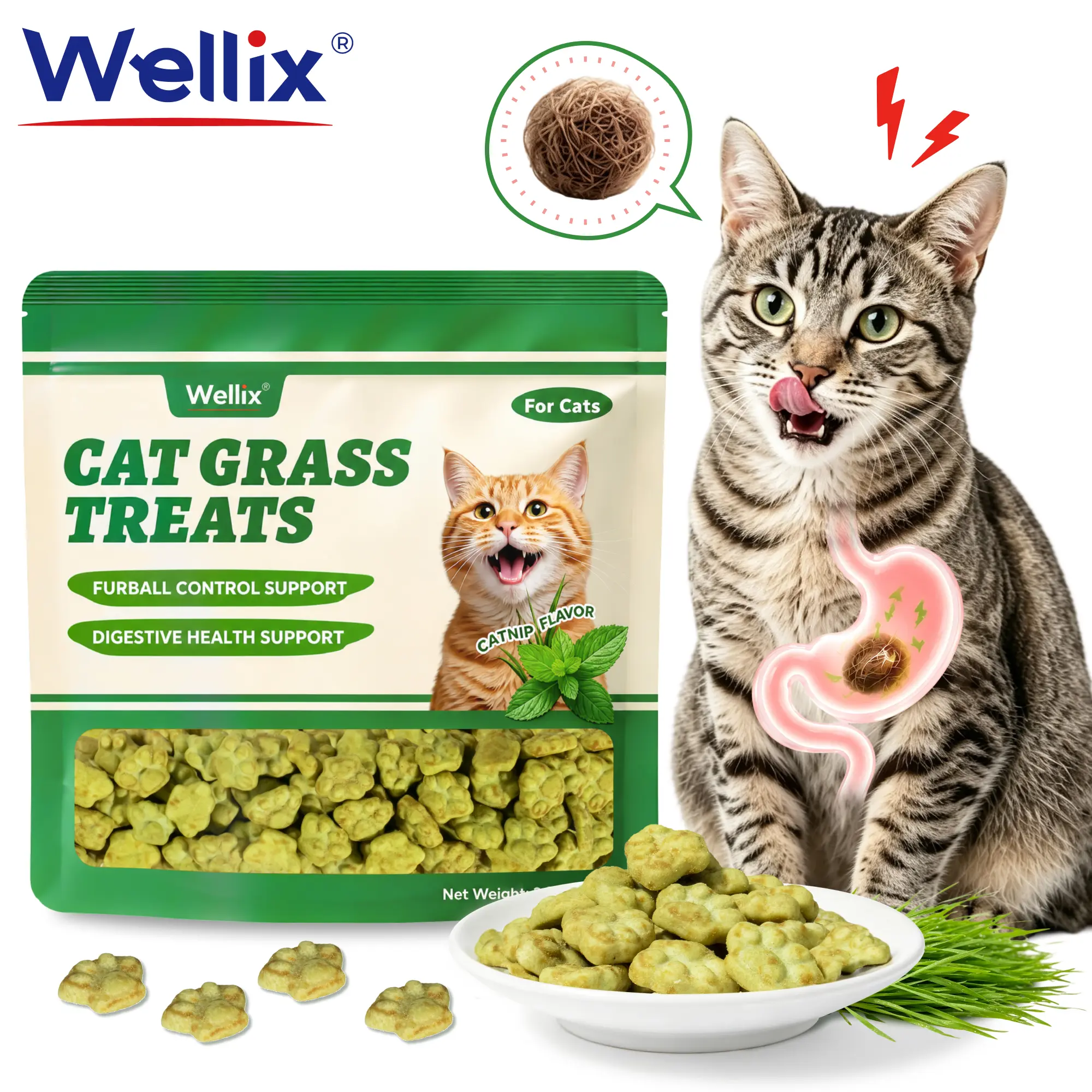Wellix Cat Treats for Indoor Cats Hairball Control Natural Salmon Healthy Cat Grass Treats Kitten Snacks Training Biscuits Catnip for Cats Dental Care 3.17oz