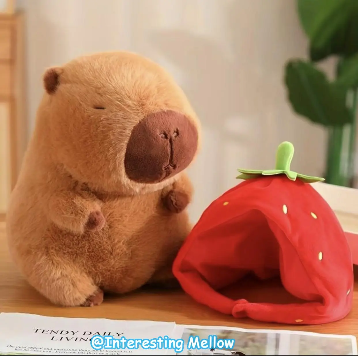 Strawberry Capybara Plush Toy, Summer Gifts, Cute Capybara Anime Fluffy Toy, Creative Birthday and Holiday Gift Options, Room Decor, Thanksgiving, Chrismats Gift Set Stuffed Animals