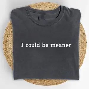 ChicCotton I Could Be Meaner Comfort Colors Shirt, Funny Meme T-shirt, Funny Sarcastic Graphic Tee, Feminine Energy Clothing, Sarcasm Outfits