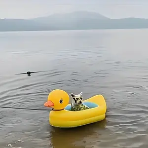 Inflatable Small Dog Yellow Duck Floating Bed for Water, Swimming Ring for Teddy And Pomeranian Dogs, Two Dogs on a Float.