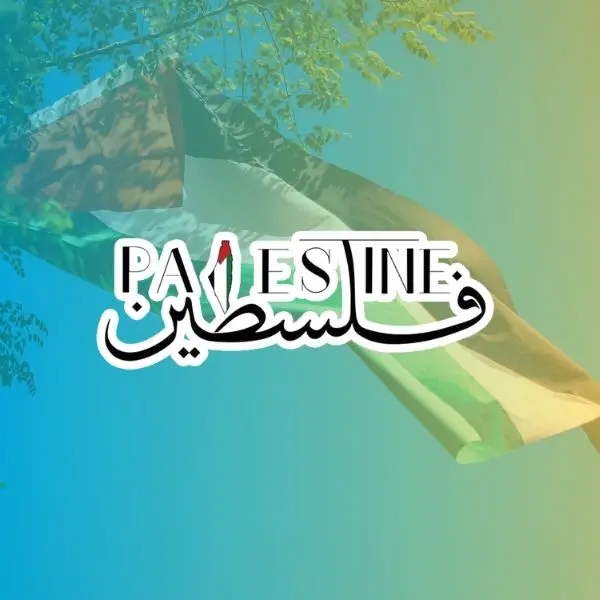 Palestinian Flag Sticker, Free Palestine Decal, Middle East Solidarity Vinyl Sticker, Minimalist Political Art