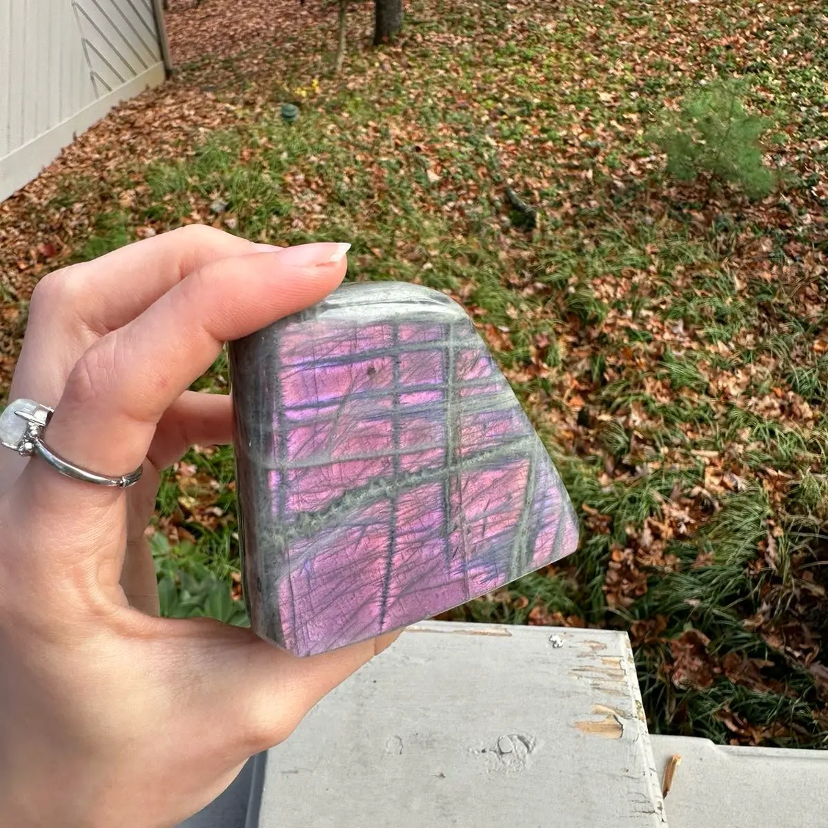 Sunset Flash Labradorite Freeform #12