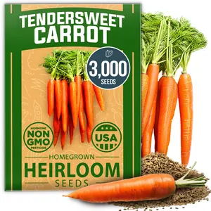 Tendersweet Carrot Seeds Pack (Daucus carota subsp. sativus) – Heirloom Carrot Seeds for Planting Outdoors – High Germinating Vegetable Seeds for a Lush Garden
