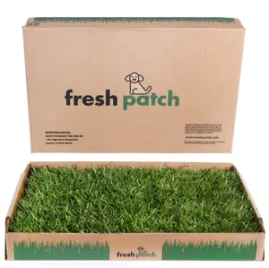 Fresh Patch REAL GRASS for Rabbits (Standard Size) - 16" x 24" Natural Grass Pad for Indoor Play, Lounge and Potty