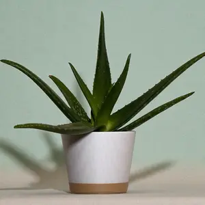 4 Pieces Hanging Planter with Cover Pot with Holes for Indoor Plants Decorative White PLA Pots with Drainage Holes