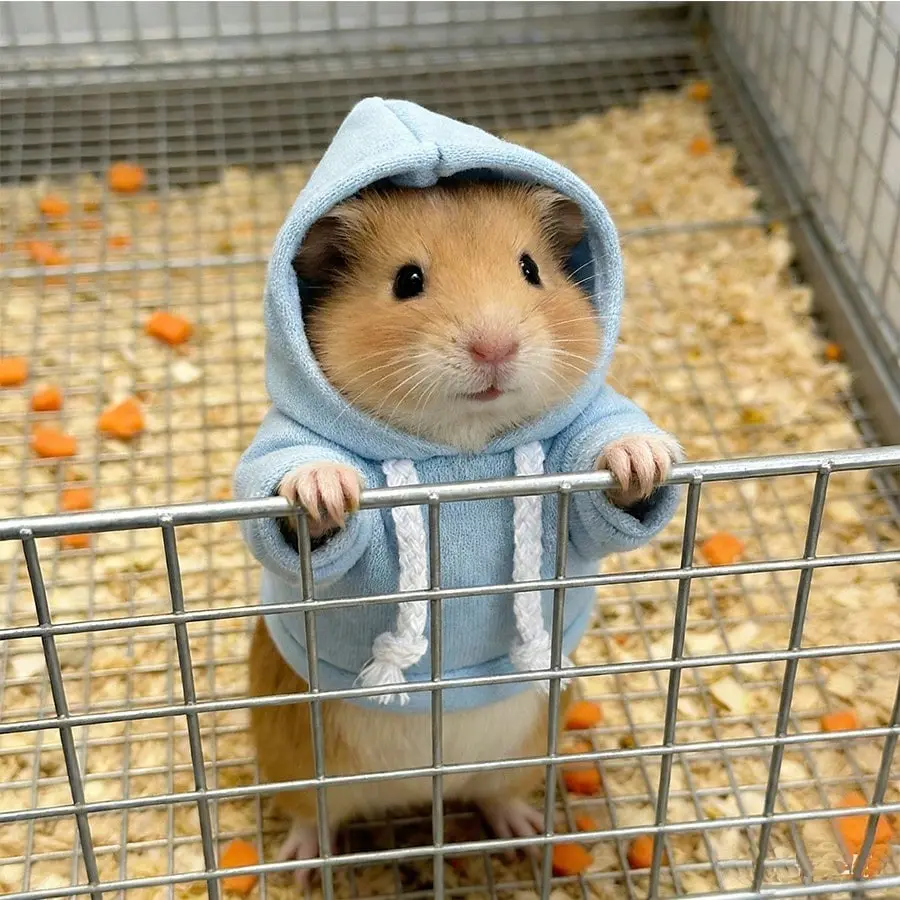 Cute Baby Hamster Hoodie Sweatshirt, Comfortable Pet Clothing for Hamsters & Small Animals, Stylish Fit Design for Daily Wear, Practical, Guinea Pig Clothes