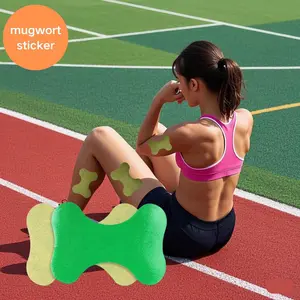 Mugwort Patch,Wormwood Patch,Natural Mugwort Arm and Leg Patches for Women and Men48pcs Lightweight