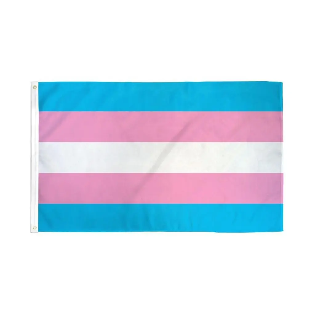 Transgender Flag Polyester Flat Banner, 2x3ft Dye-Subbed, Bold Colors, High Pigment Density, Header Tape, Double-Stitched, All Seasons Party Background Decoration Backdrop Display, Bright
