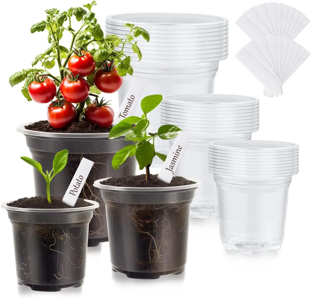 30-Pack High Transparency Plastic Nursery Pots for Plants, 3.5/4/5 in Seedling Pots with Drainage Holes, Indoor Planters with 20 Labels