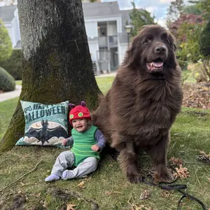 FOCUSNORM Baby Caterpillar Costume Infant Girl Boy Halloween Costume Sleeveless Hungry Romper with Hat Cosplay Party Outfit