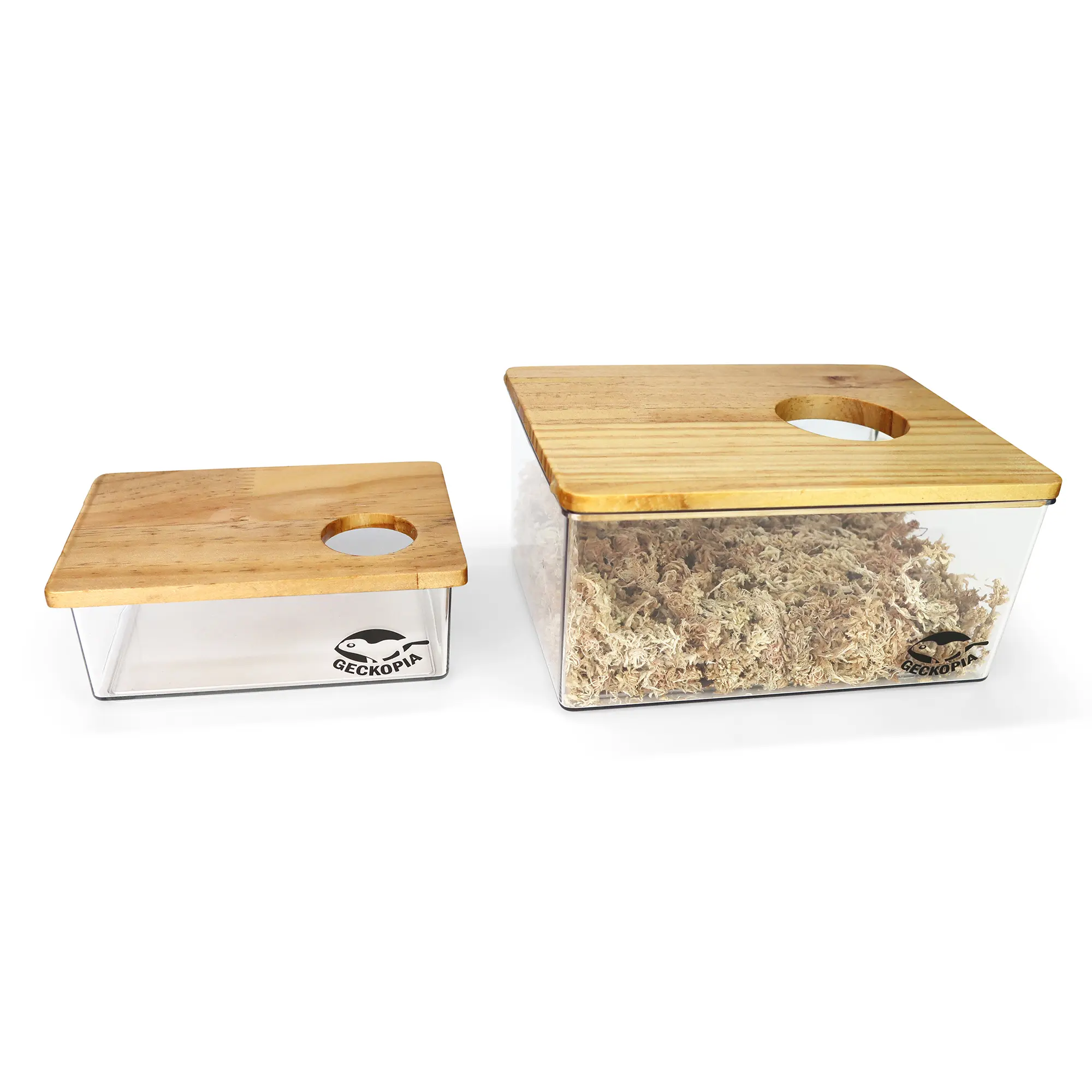 Reptile Dig Box
