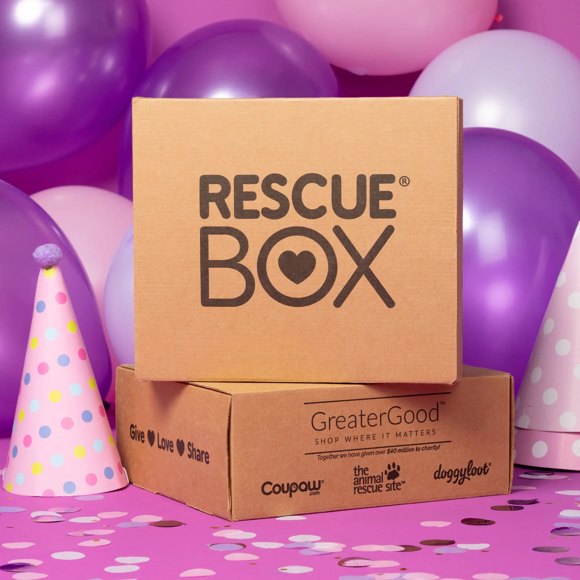 RescueBox Pet Toys & Treats - Spoil Your Pet, Help Animals In Need