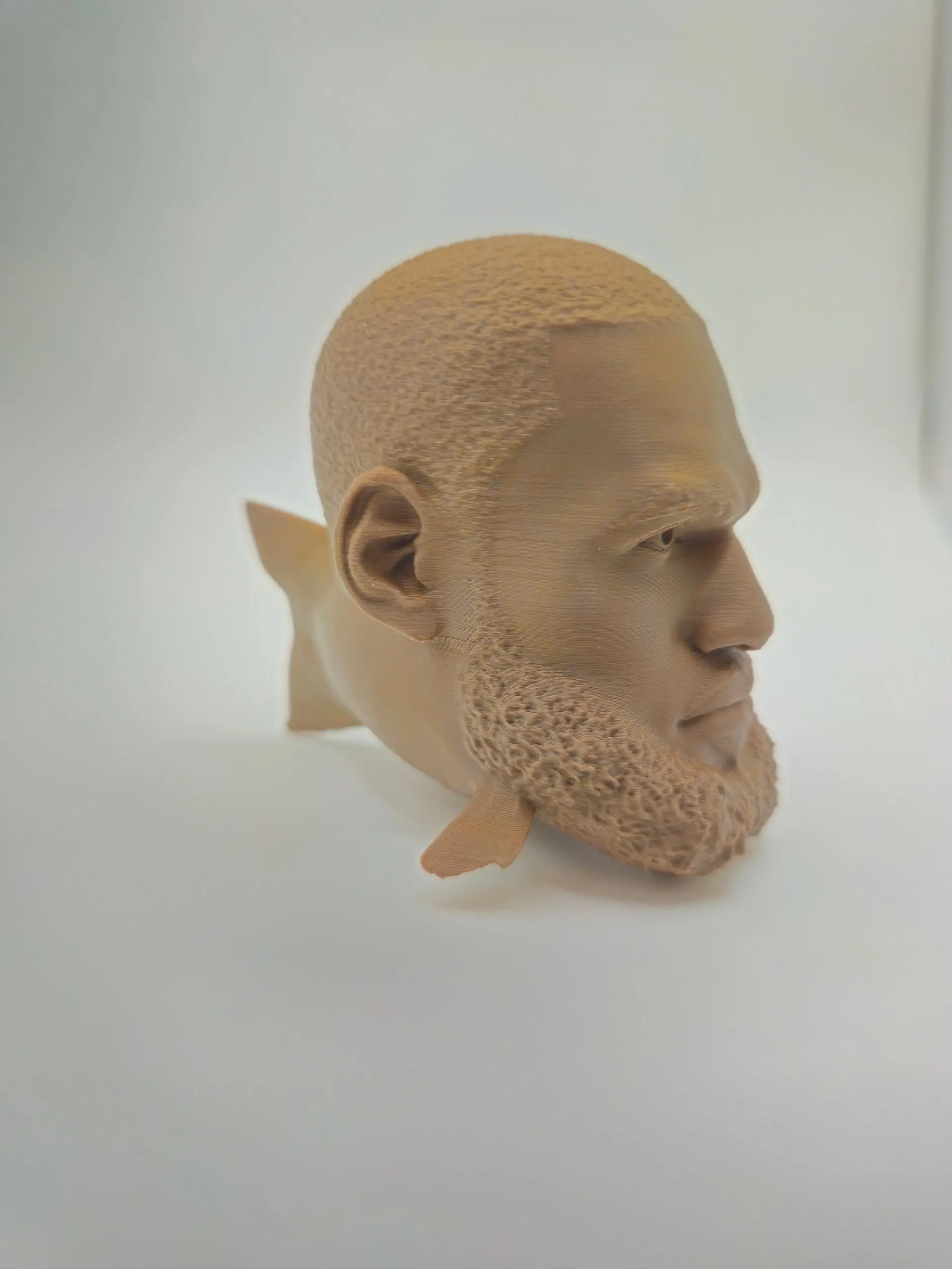 LeBron James Fort Flopper - LeFlopper, 3D Printed Figure, Gag Gift, Desktop Decoration, Home Decor, Gift Idea, Stocking Stuffer