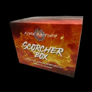 x17 Signed Premium Authentic Football Helmet Pick Your Team Break #10 - Fire Factory Memorabilia