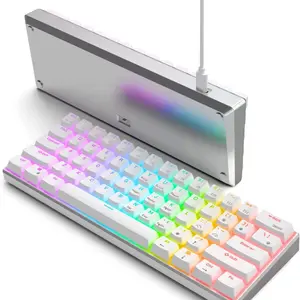 BK61 Limited edition whites