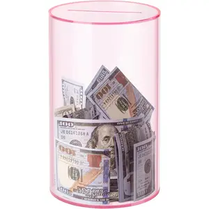 Clear Piggy Bank for Adults Kids Must Break to Open, Pink Acrylic Piggy Bank Unopenable Money Savings Jar (8" H x 5" D)
