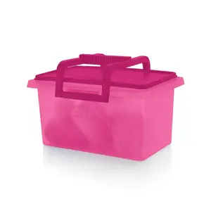 Tupperware Small Carry-All Container | Detachable Handle Storage Bin