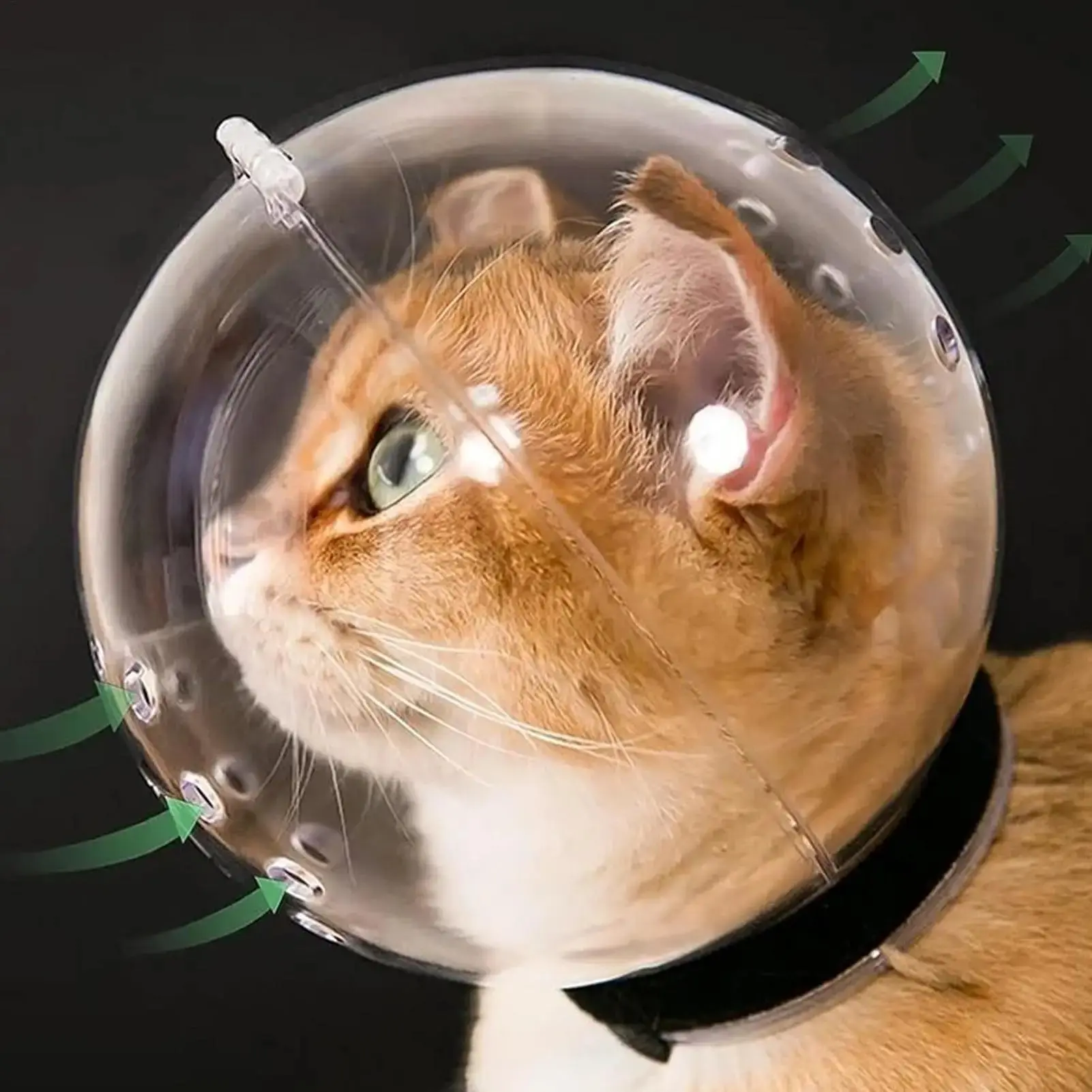 Breathable Cat Bubble Muzzle – Transparent Protective Helmet for Grooming & Anti-Bite Safety