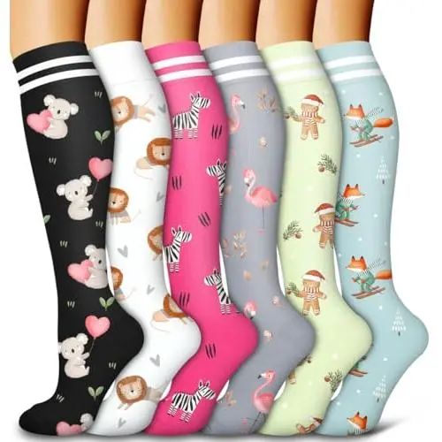 D assorted11 little raccoon