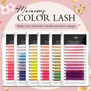 winky beauty Macaron color Hand Woven Synthetic Mink Eyelashes, Diy Volume Eyelashes, 0.07mm Individual 6 Colors Rainbow Rose Pink/Purple/Yellow Faux Mink Color Eyelashes, Soft Natural Individual for Eyelash Extensions Makeup Tool