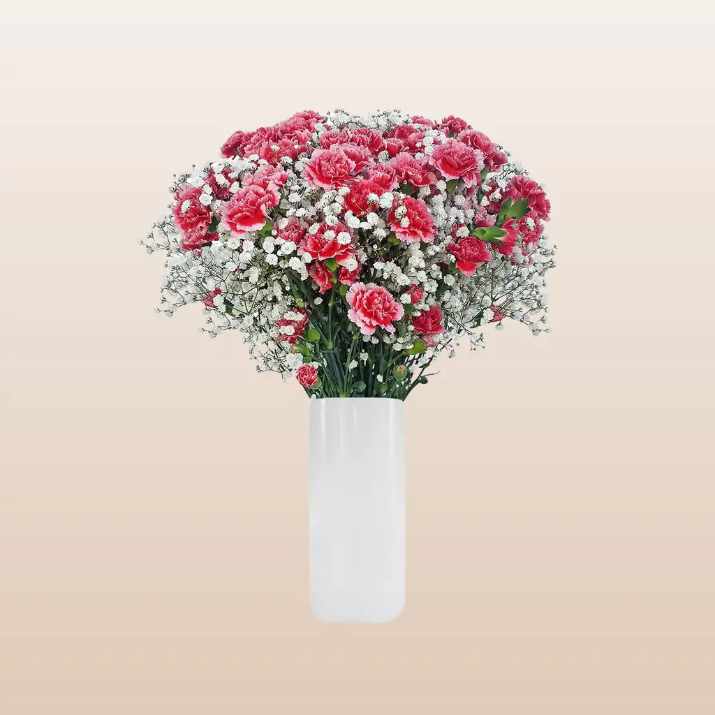 Mini Carnation Red & Pink Bqt - 6 Bouquets with 20 Fresh Mini Carnations & Gypsophila - 8-Day Bloom Life - No Vase Included