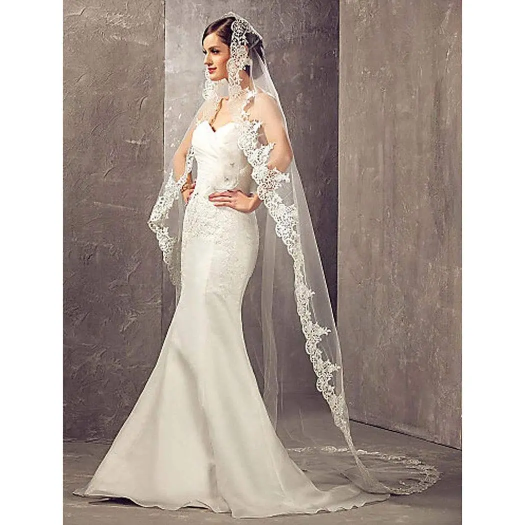 Wedding Bridal Veils Long Veil with Lace and Metal Comb at The Edge Cathedral Length
