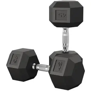 Cast Iron Dumbbells Set, 45 Lbs Pair Fixed Weights for Home Gym