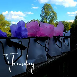 Big Bundle bags Big Bundle bags