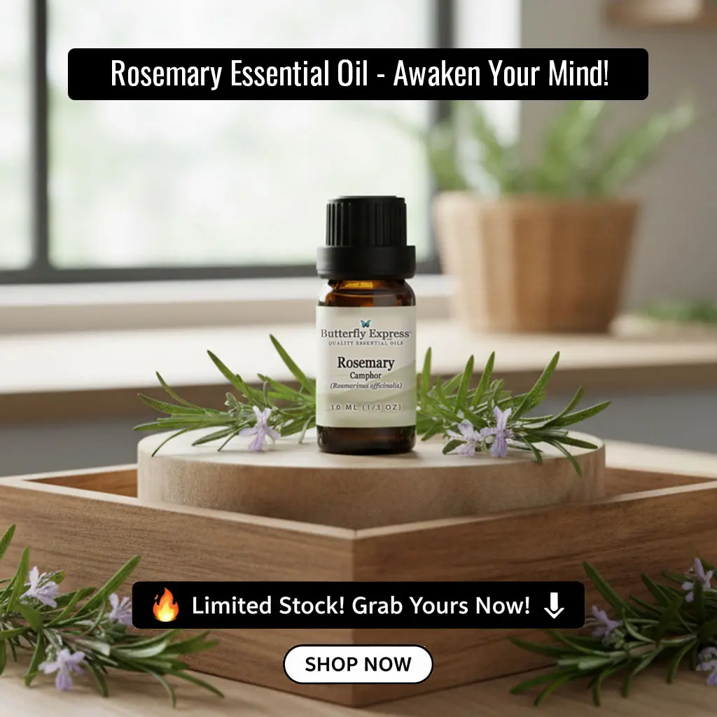 10ml Rosemary Camphor Essential Oil (Rosmarinus officinalis)