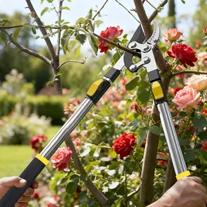 Expandable Pruner Long Handle for Thick Branches, Sharp Sk5 Blade, Ergonomic Non-Slip Grip, Perfect for Home Garden Maintenance